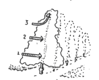 Kolejność zbierania owoców